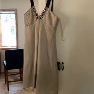 BCBG Silk Champagne Dress with Studded V Neck